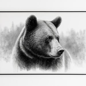 Kohle BÄR Skizze, Druck auf Leinwand. Bleistift Wilde Tiere Zeichnung, Wandkunst.