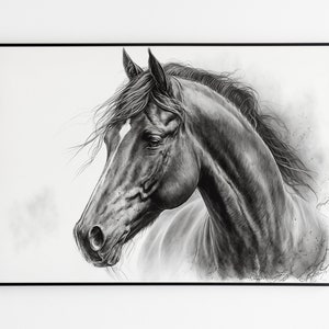 Charcoal HORSE Sketch Print on Canvas. Pencil Farm Animal Drawing, Horses Wall Art Print.