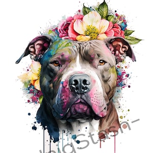 Impresión original de acuarela floral de un pitbull sobre lienzo de alta calidad. Póster con dibujo colorido. Decoración de pared.