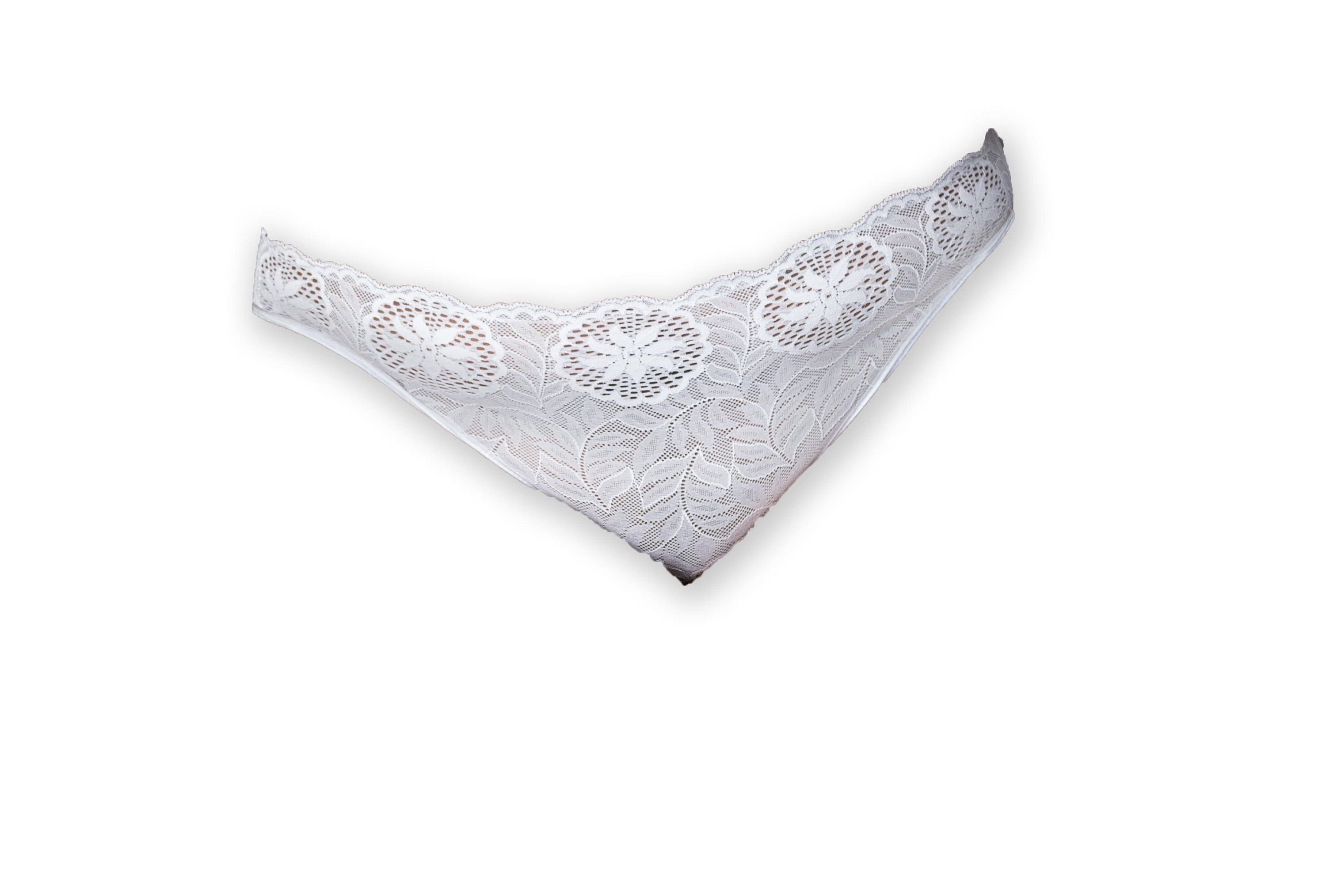 Brazilian Cut Hipster Panty/plus Size Bikini/ Plus Size Lingerie/plus