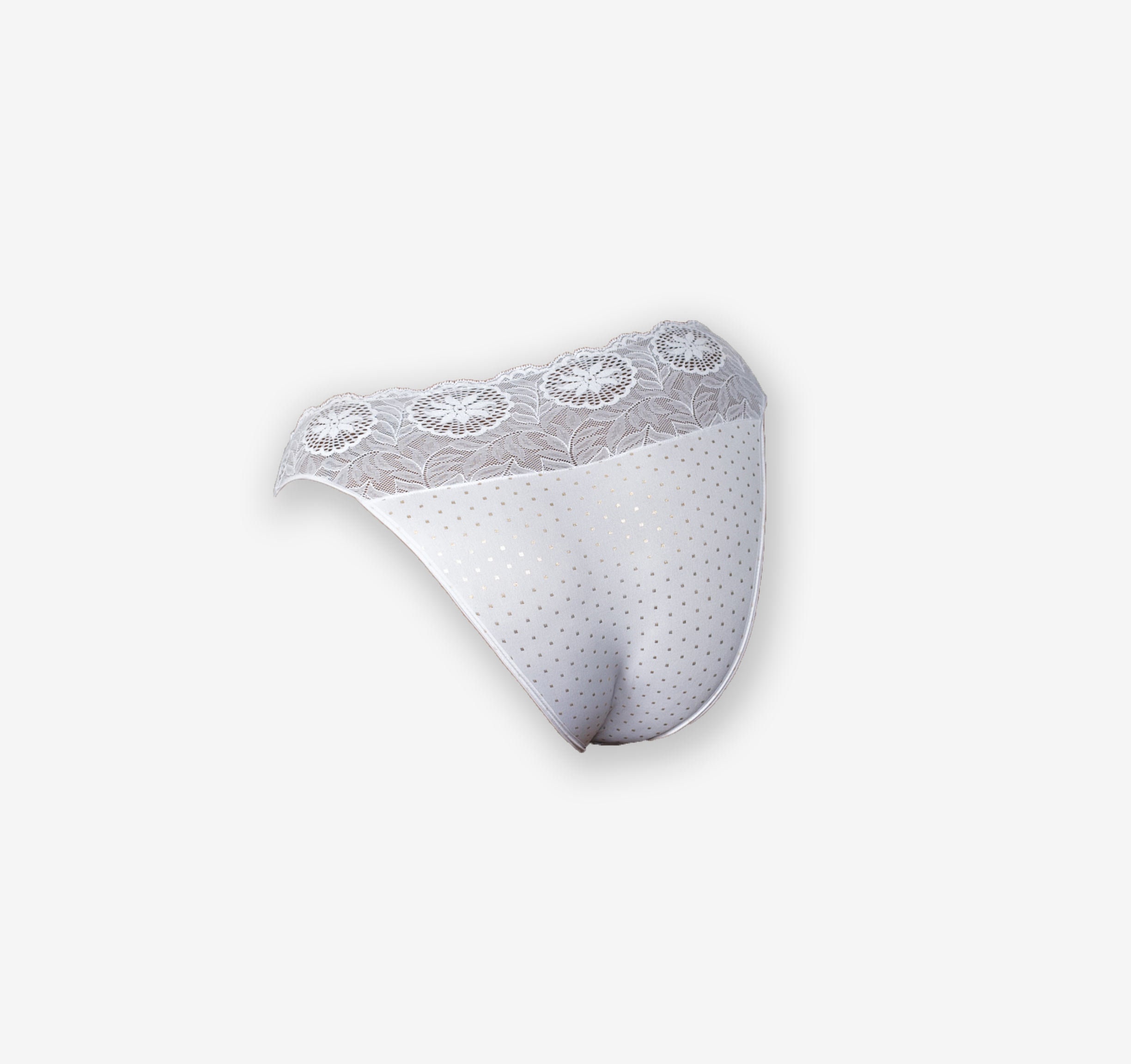 Brazilian Cut Hipster Panty/plus Size Bikini/ Plus Size Lingerie/plus