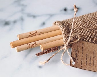 Bamboo Straws (Set of 4, with Bag & Brush)