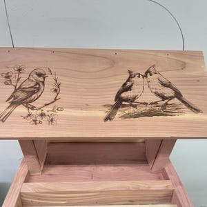Laser Engraved ,Cedar Bird Feeder, hand crafted, cedar hanging bird feeder.