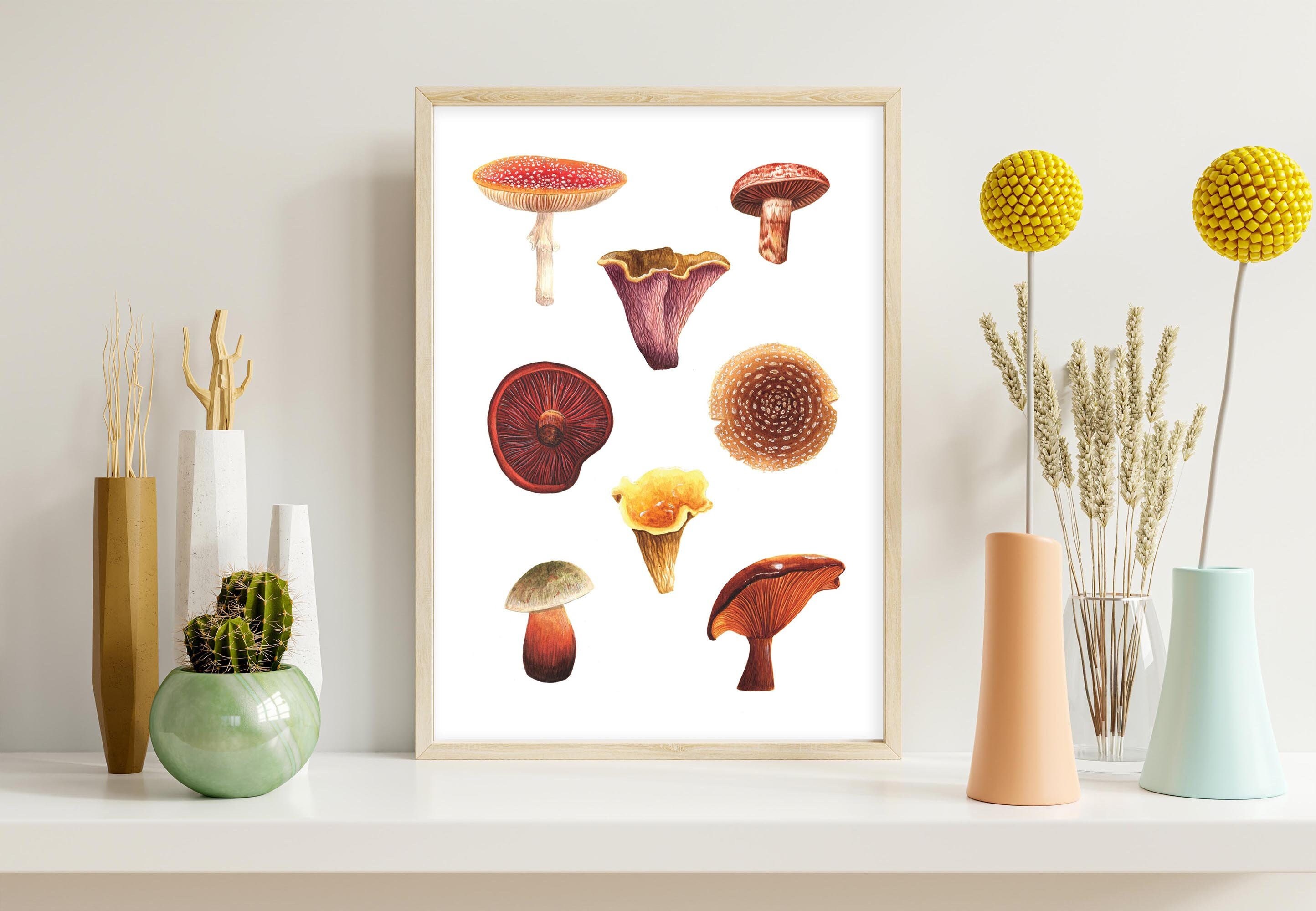 A3 Mushroom Poster Fungi Art Print Amanita Muscaria Fly - Etsy UK