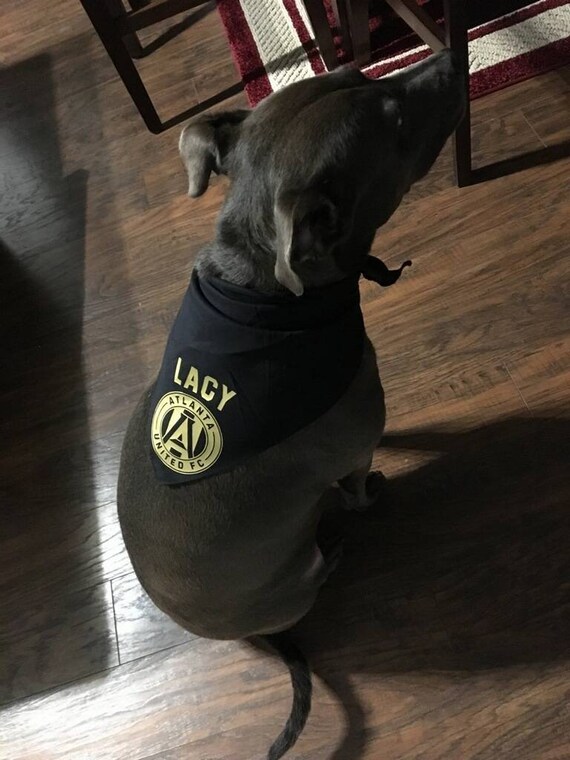 atlanta united dog jersey