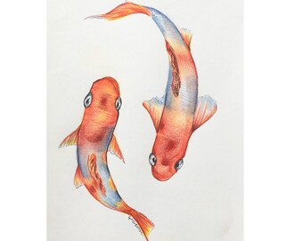 Koi Fish Drawing Colored Pencil Illustration Of Koi Fish Etsy
