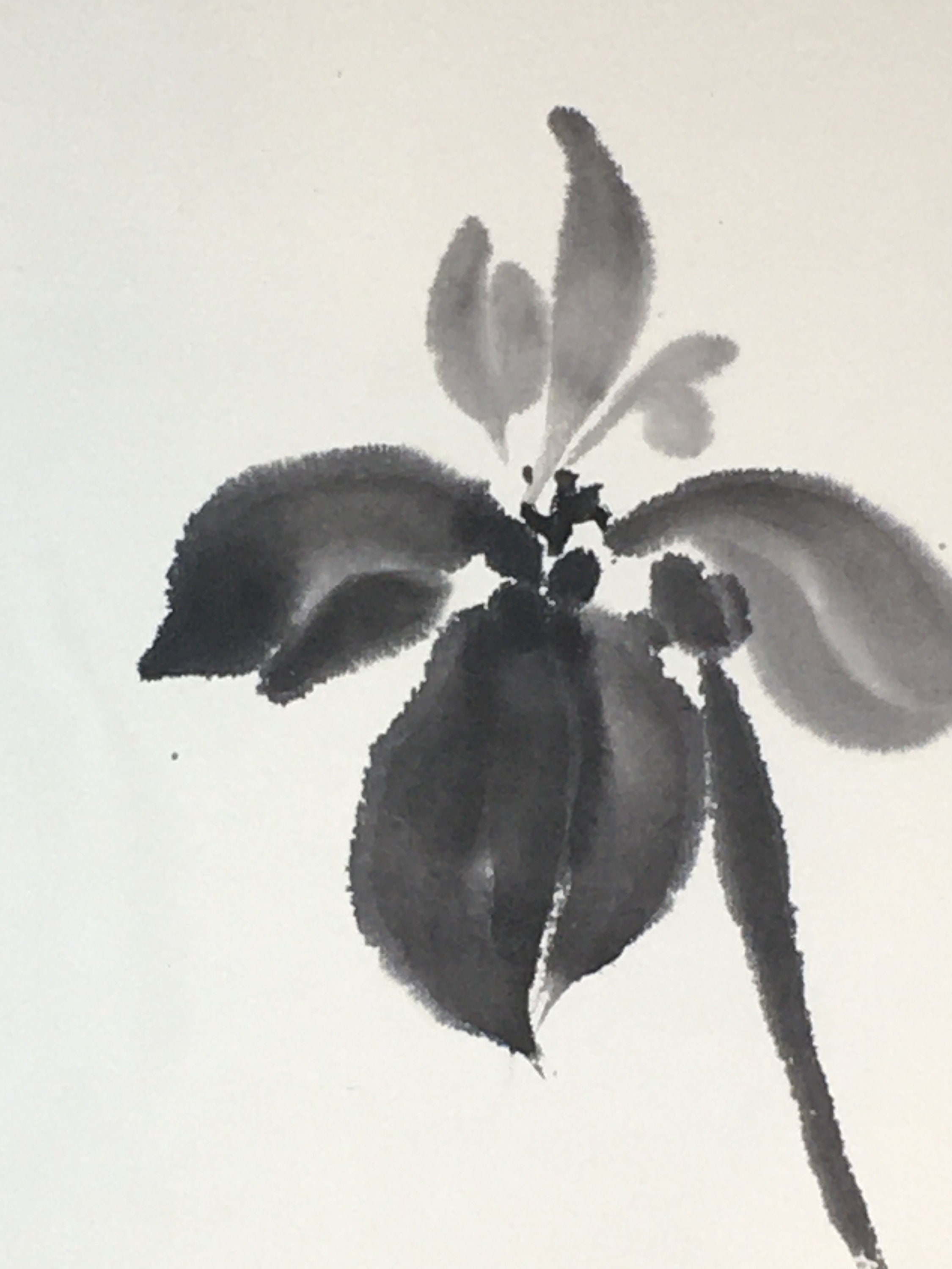 Sumie brush painting of orchids on rice paper. This sumie Etsy