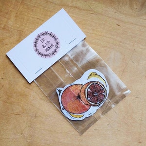 watercolor fruit illustrations stickers pack