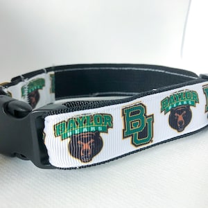 Baylor top dog collar