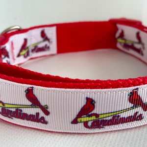 st louis cardinals dog collar small