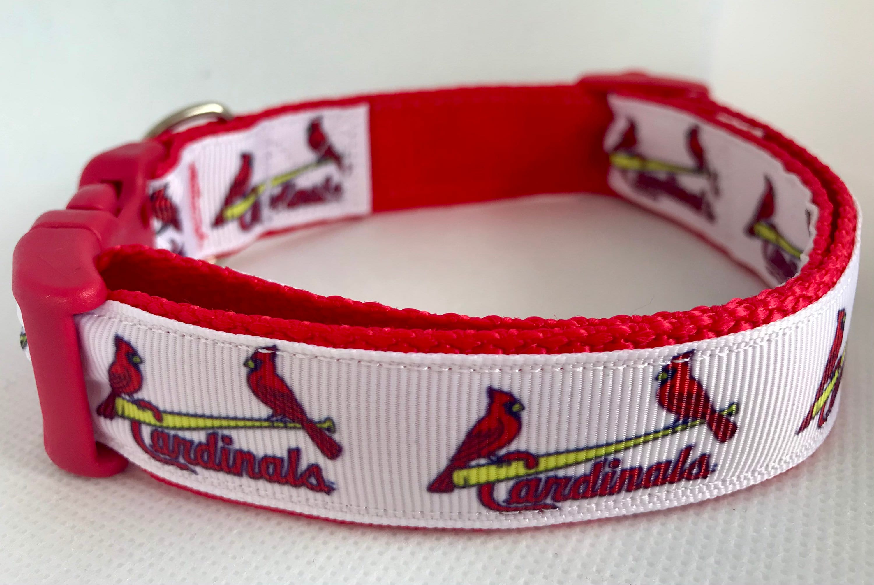 st louis cardinals dog collar