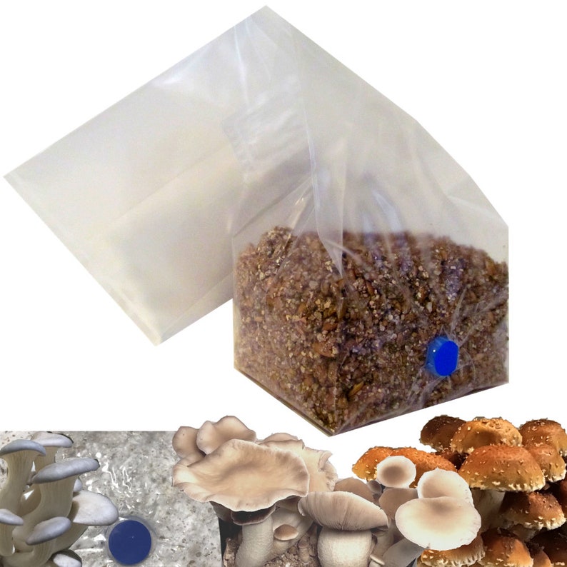 OneStep Mushroom Grow Bag 1.5 lb Direct From Injection Etsy