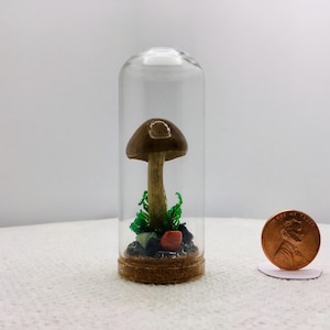 Mushroom Curiosity Glass Jar - Fungi Oddity Art Décor # 356