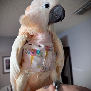 Bird and Parrot harness to deter plucking or wound chewing