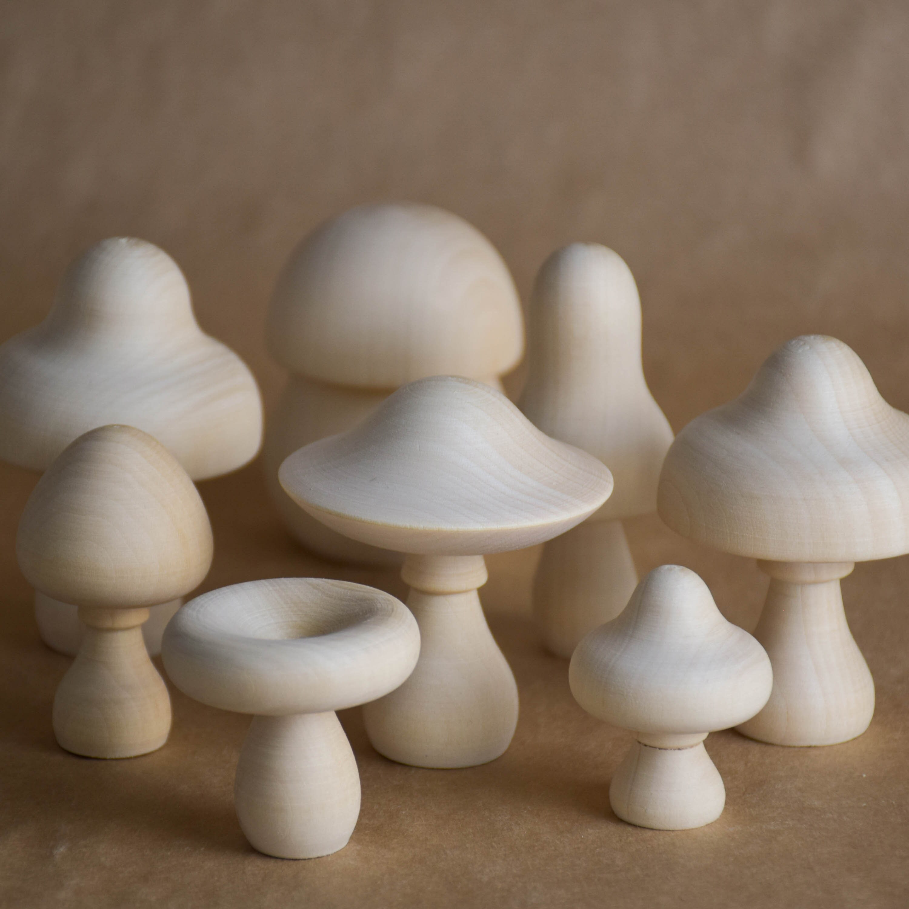 Wooden Miniature Mushroom Unfinished Set for Fairy Garden or Baby