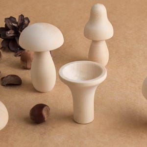 May include: Wooden mushroom figurines in various sizes and shapes, including a small bowl-shaped piece. The mushrooms are unpainted and have a natural wood grain. Acorns and a pine cone are scattered around the mushrooms.