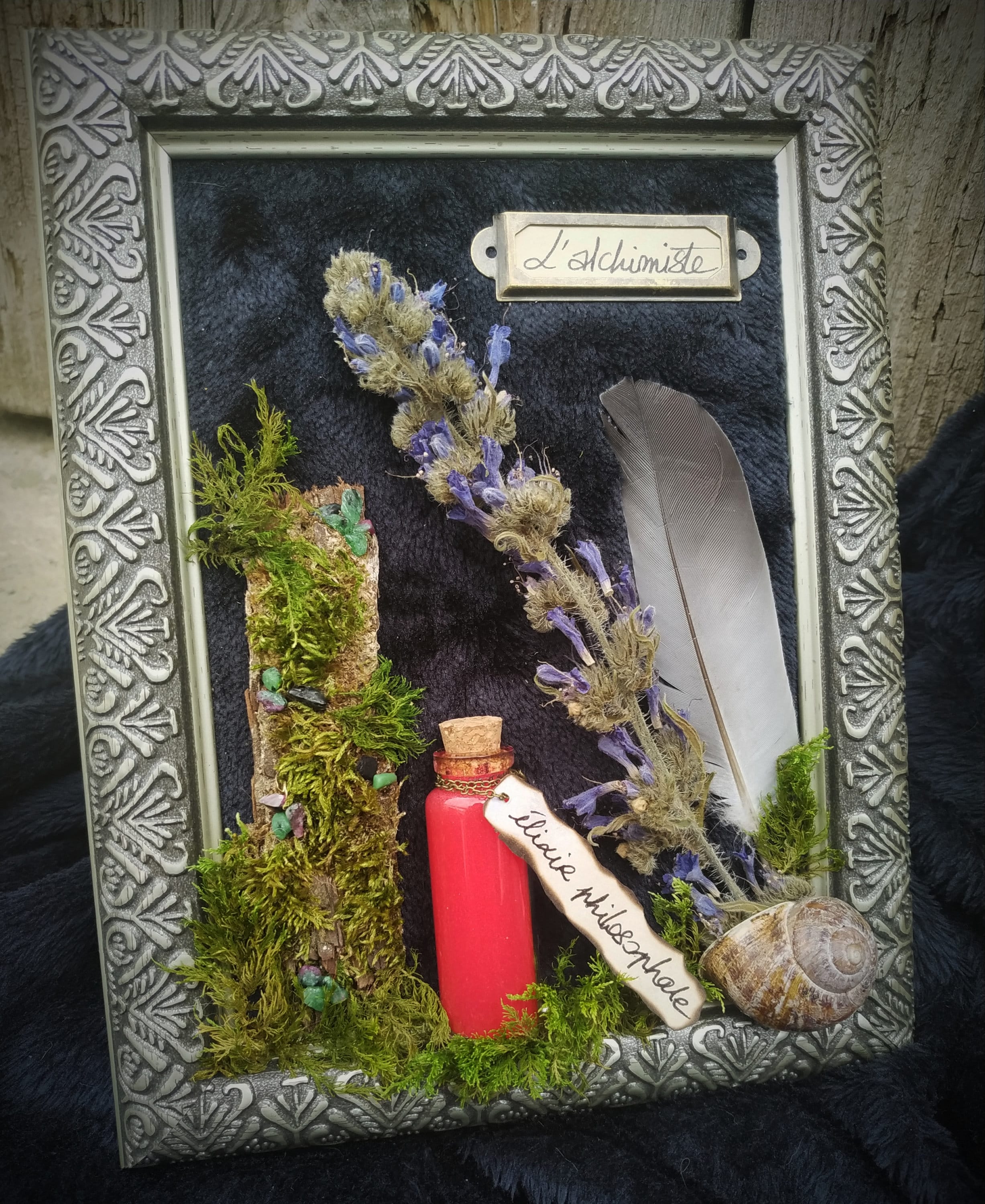 Herbier de L'alchimiste - Collection Magie Végétale