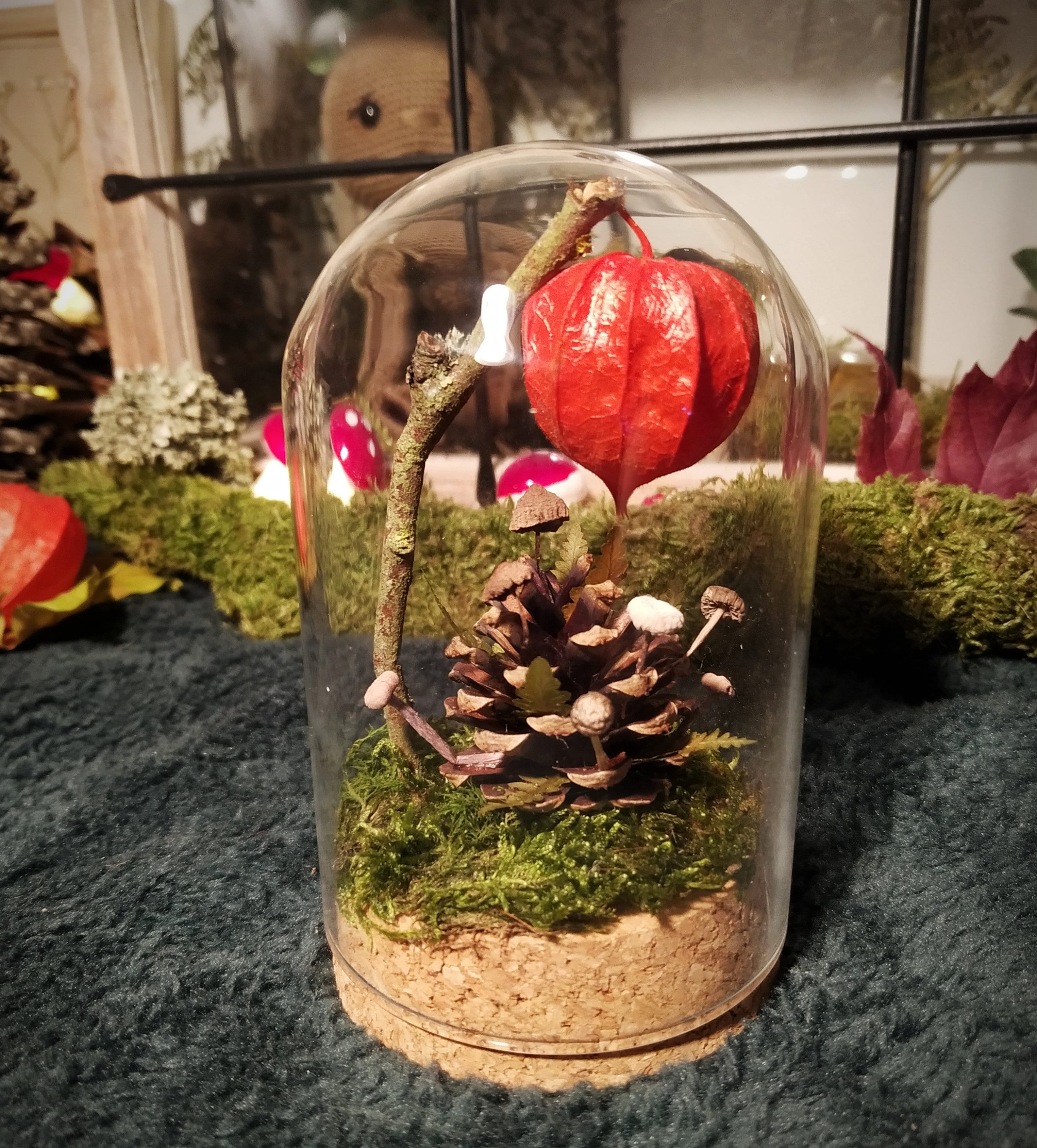 Cloche Végétale Sous Le Physalis - Collection Sous-Bois en Automne