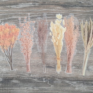 Große Getrocknete Pflanzen Aufkleber: Klares botanisches Laub, Scrapbook-Verzierungen