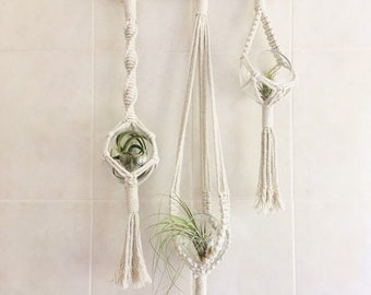 Macrame Hanging Glass Globe air plant holder