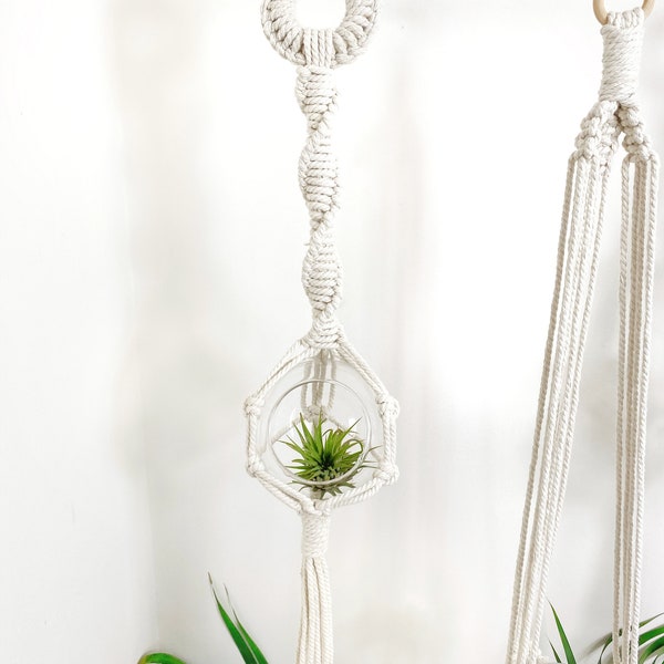 Macrame Air Plant Hanger Pattern | Macrame DIY pattern | Video Tutorial Macrame Pattern | Beginner DIY Macrame plant hanger pattern