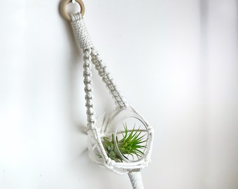 Air Plant and plant holder DIY kit present