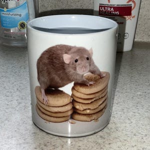 Puede incluir: Una taza de cerámica blanca con una impresión fotográfica de una rata marrón de pie sobre una pila de galletas redondas de color marrón claro. La rata está colocada con sus patas delanteras apoyadas en la galleta superior, mirando al frente.