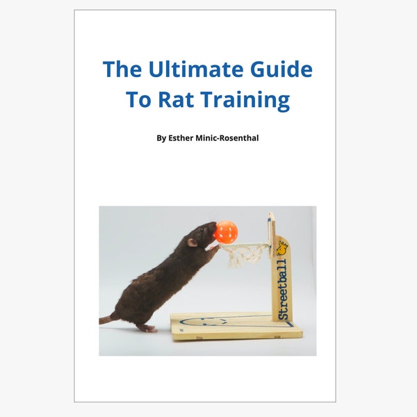 Rat Training Tips RatPaintings - Etsy
