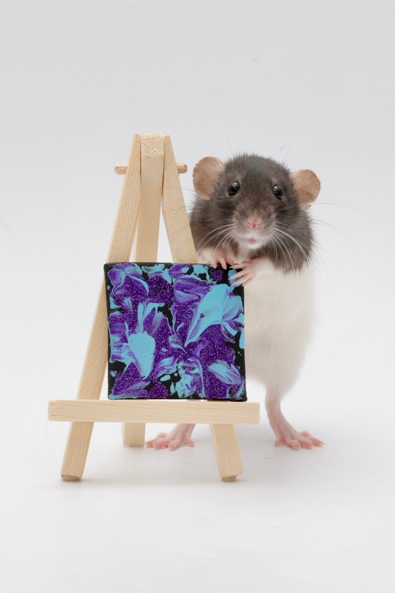 Premade Rat Paintings Etsy
