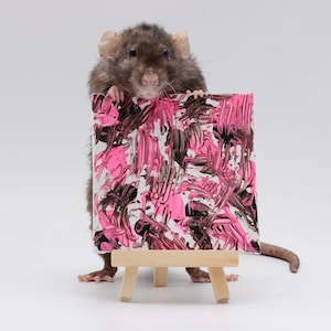Pu&ograve; includere: Un ratto grigio che tiene una piccola tela con vernice astratta rosa e marrone. La tela &egrave; su un cavalletto di legno.