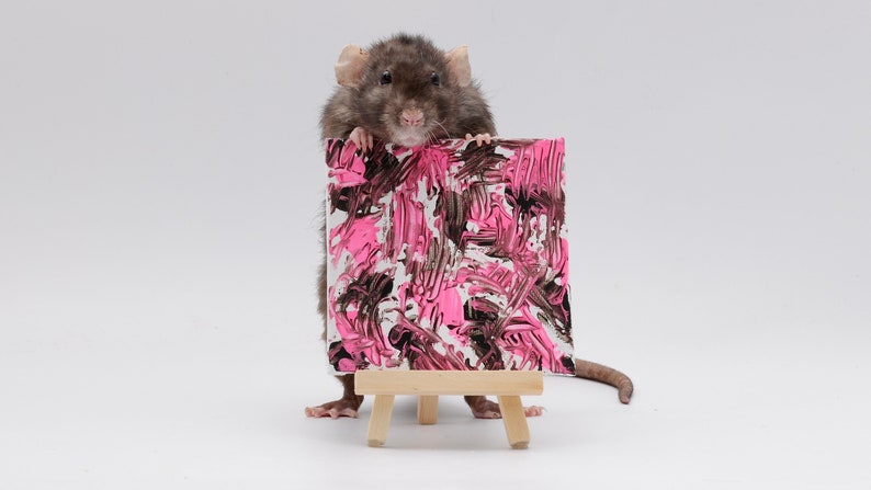 Pu&ograve; includere: Un ratto grigio che tiene una piccola tela con vernice astratta rosa e marrone. La tela &egrave; su un cavalletto di legno.