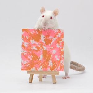 Pu&ograve; includere: Un ratto bianco che tiene una piccola tela con vernice astratta rosa e arancione. La tela &egrave; su un cavalletto di legno.