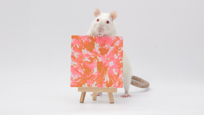 Pu&ograve; includere: Un ratto bianco che tiene una piccola tela con vernice astratta rosa e arancione. La tela &egrave; su un cavalletto di legno.