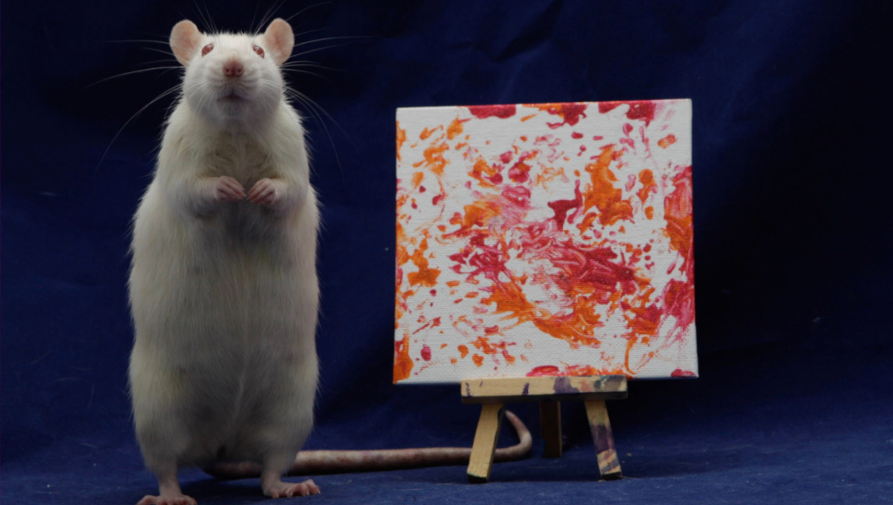 Rat Painting 3x3 Etsy