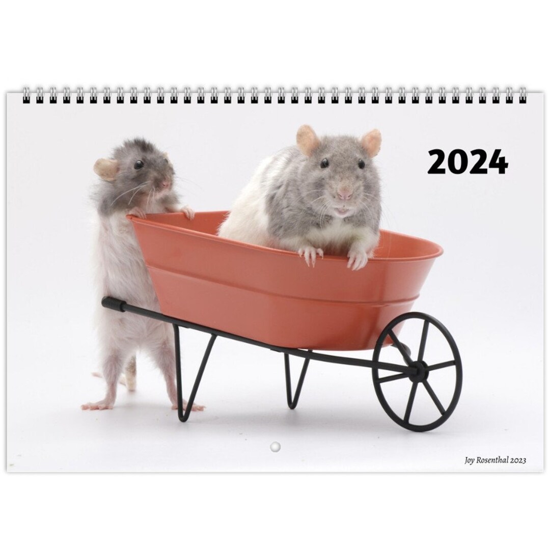 2024 Pet Rat Calendar europe, Asia, Latin America, and Oceania Etsy