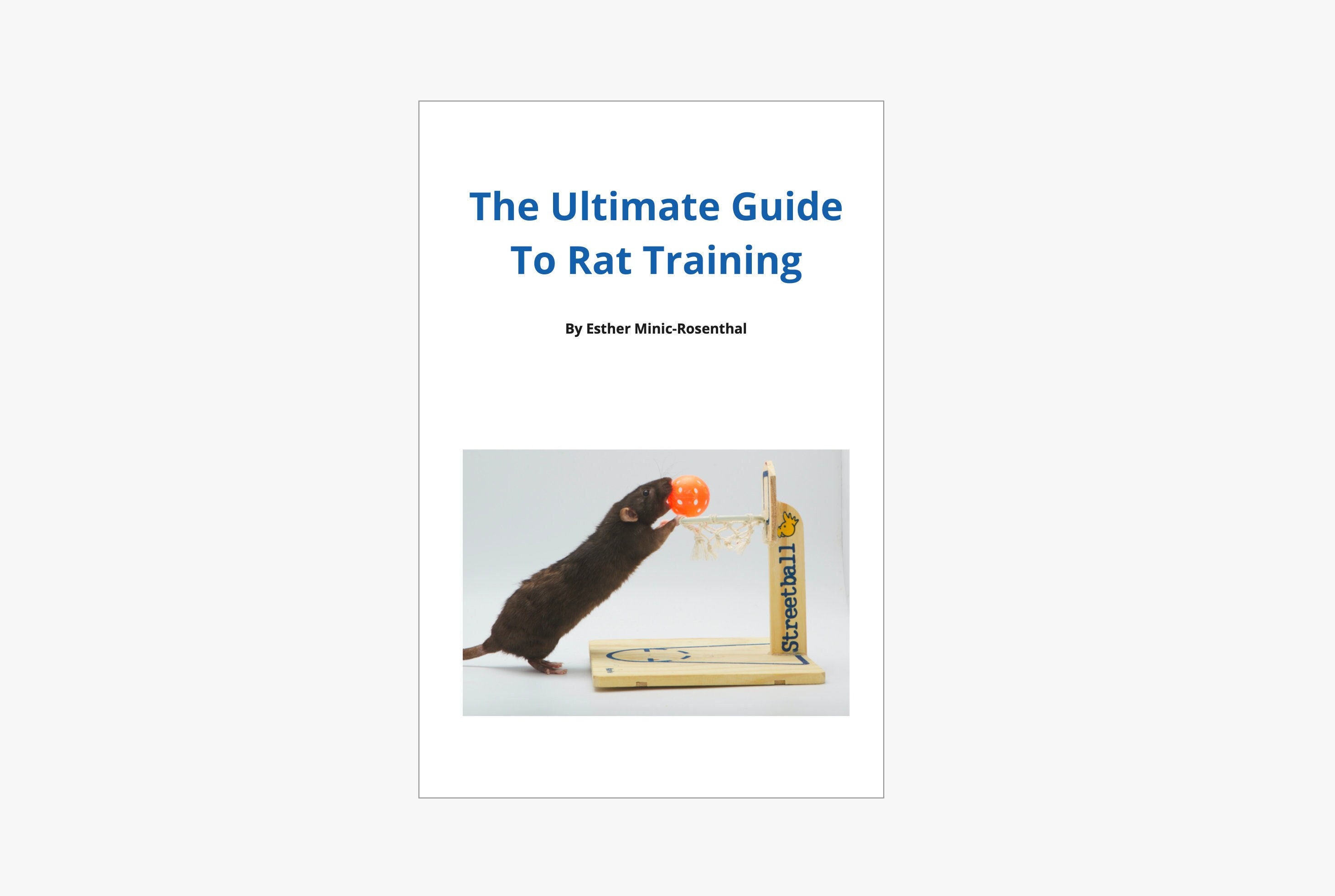 The Ultimate Guide to Rat Training - Rat Training 101 (DIGITAL COPY) - Etsy