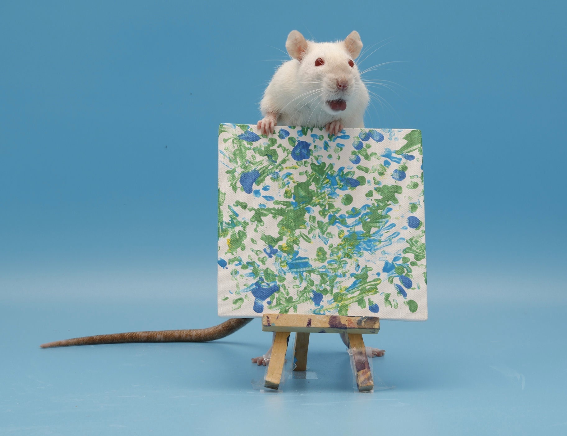 Rat Painting 5x5 Etsy