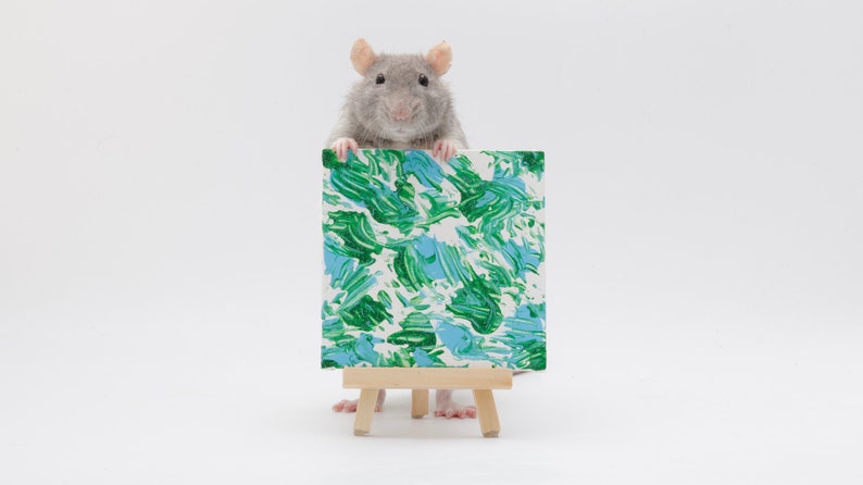 Pu&ograve; includere: Un ratto grigio si trova su un piccolo cavalletto di legno tenendo una tela dipinta con vortici astratti verdi e blu.