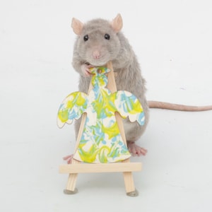 Pode incluir: Um rato cinzento está atrás de um pequeno cavalete de madeira, segurando um anjo decorativo. O anjo é pintado com um padrão colorido de azul, amarelo e branco. O fundo é branco liso.