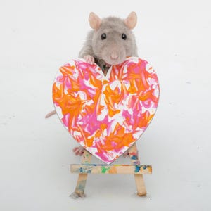 Pode incluir: Um rato cinzento está atrás de um pequeno cavalete de madeira segurando uma tela em forma de coração. A tela apresenta um design de pintura marmorizada em tons vibrantes de laranja, rosa e branco. O cavalete de madeira mostra salpicos.