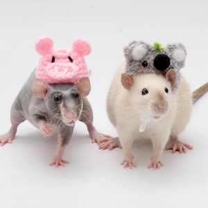 Puede incluir: Dos ratas con sombreros de ganchillo. Una rata es gris y lleva un sombrero de cerdo rosa. La otra rata es blanca y lleva un sombrero de koala gris.