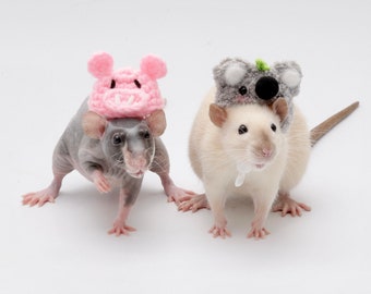 Set of 30 Cute Pet Rat Wallpapers For PC & Mac