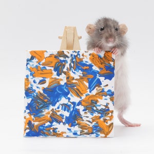 Pu&ograve; includere: Un ratto grigio e bianco sta in piedi sulle zampe posteriori e tiene una piccola tela con vernice astratta blu e arancione. La tela &egrave; su un cavalletto di legno.