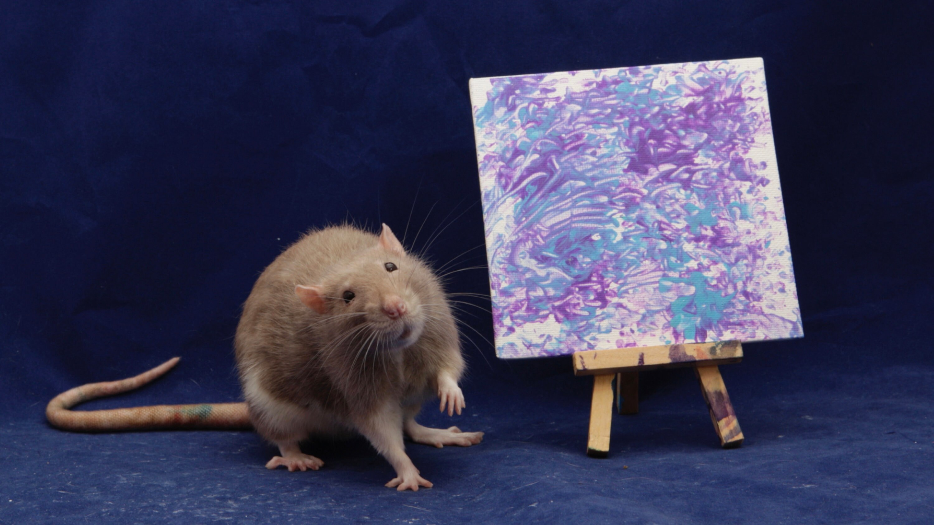 Rat Painting 3x3 Etsy