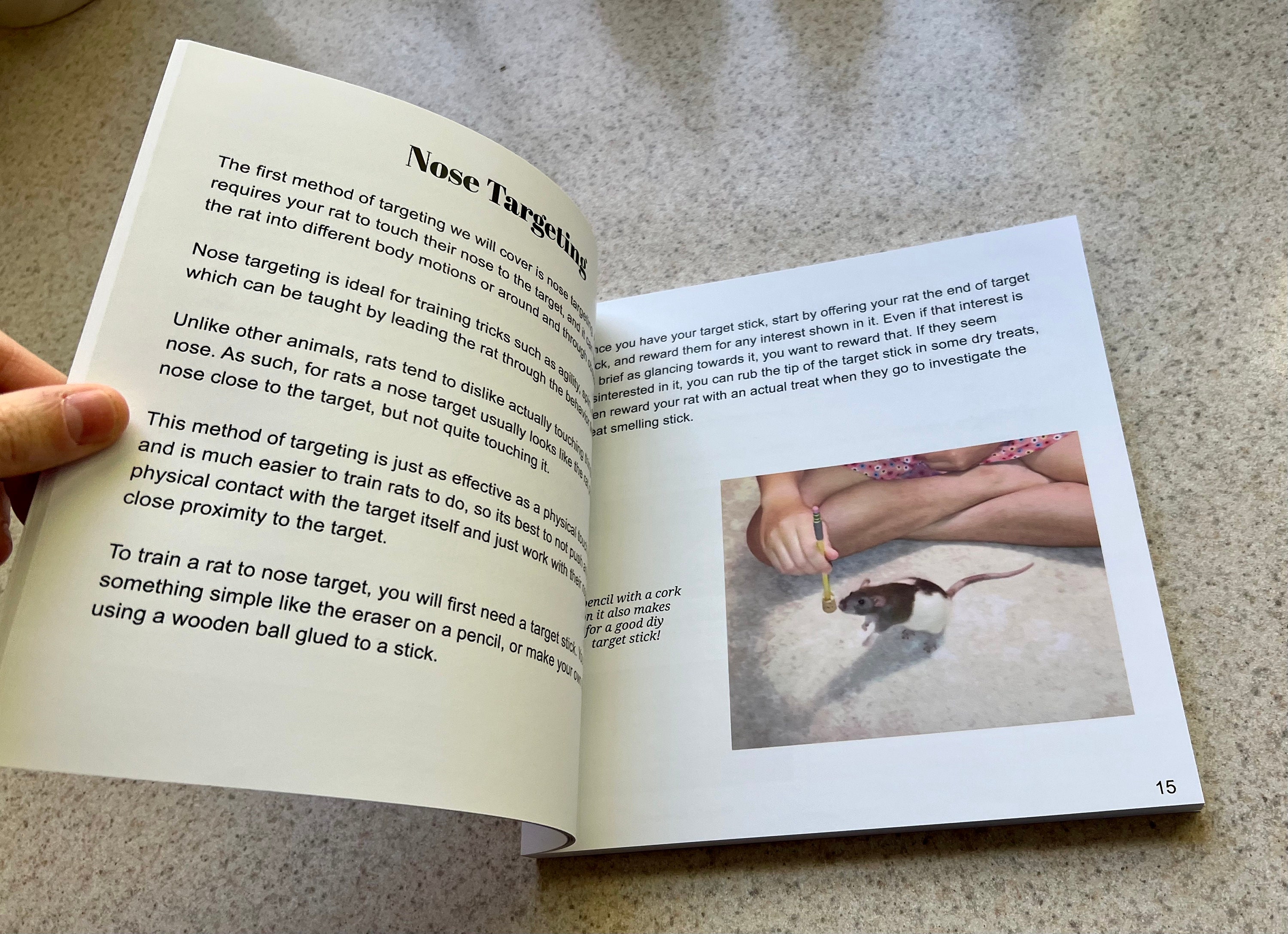 The Ultimate Guide to Rat Training (physical Book) - Etsy