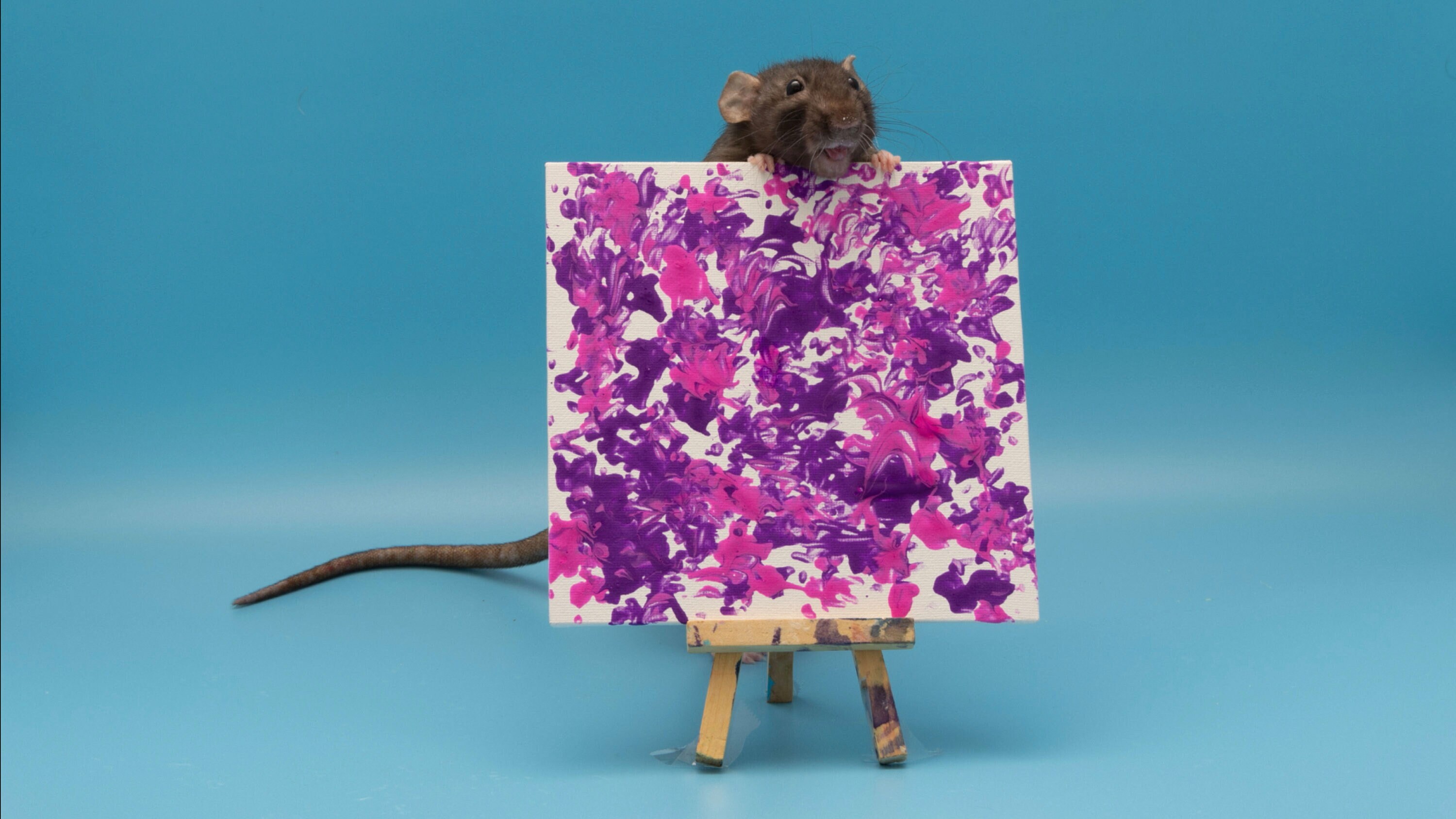 Rat Painting 6x6 Etsy UK