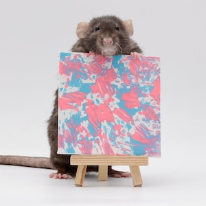 Dipinto di ratto 4"x4" immagine 7