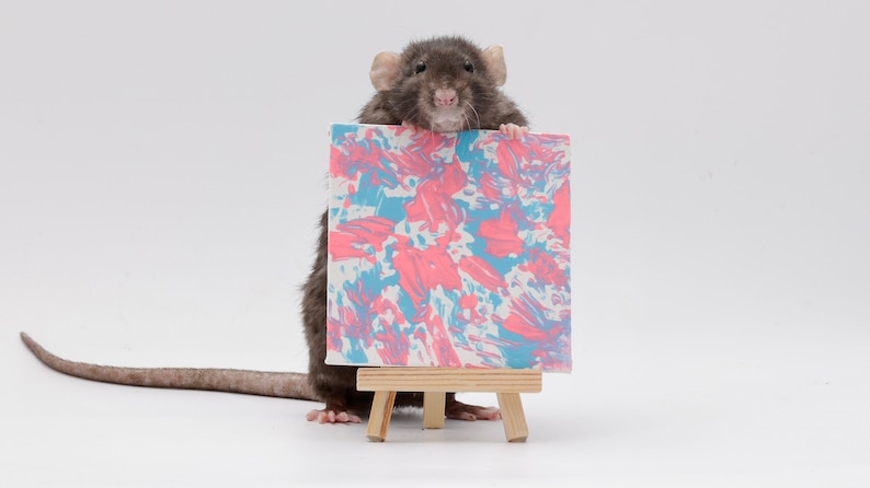 Dipinto di ratto 4"x4" immagine 7