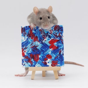 Pu&ograve; includere: Un ratto grigio si trova su un piccolo cavalletto tenendo una tela dipinta con forme astratte blu e rosse.