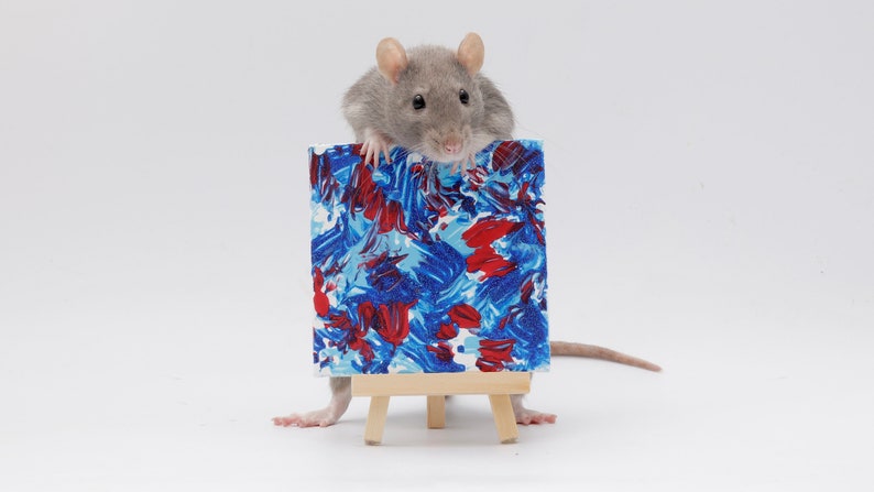 Pu&ograve; includere: Un ratto grigio si trova su un piccolo cavalletto tenendo una tela dipinta con forme astratte blu e rosse.